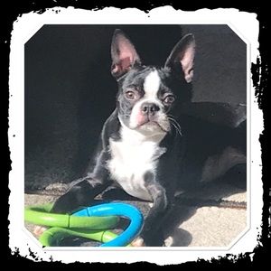 Meet your Posher, Erica